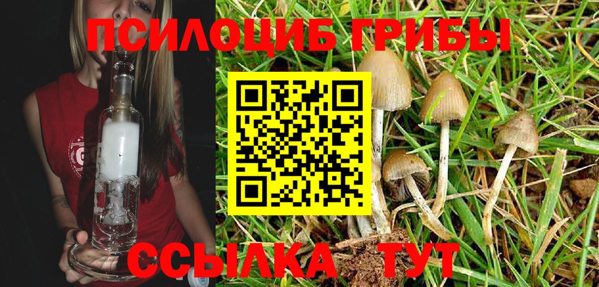 Галлюциногенные грибы Magic Shrooms Домодедово