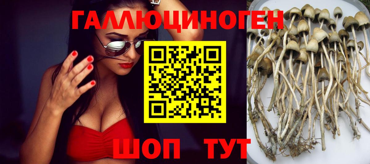 Домодедово  Галлюциногенные грибы Magic Shrooms  Вход с VPN 
